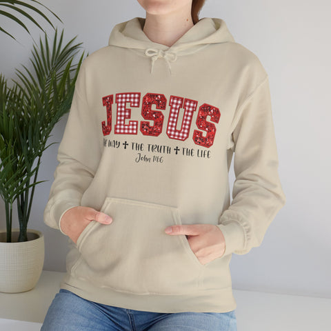 "Jesus The Way The Truth The Life" Christmas Hoodie for Women