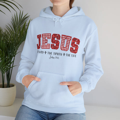"Jesus The Way The Truth The Life" Christmas Hoodie for Women